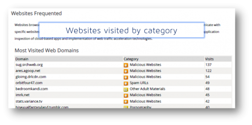 Report showing frequently visited websites by category.